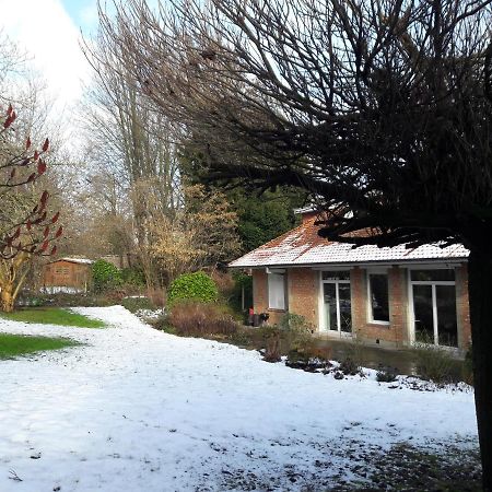 Un Grand Jardin En Ville. Chez Guy Uccle Exteriér fotografie