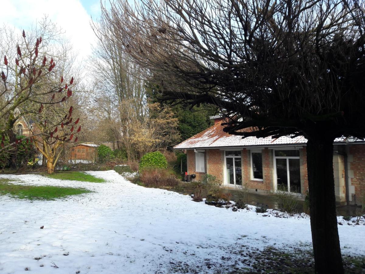 Un Grand Jardin En Ville. Chez Guy Uccle Exteriér fotografie